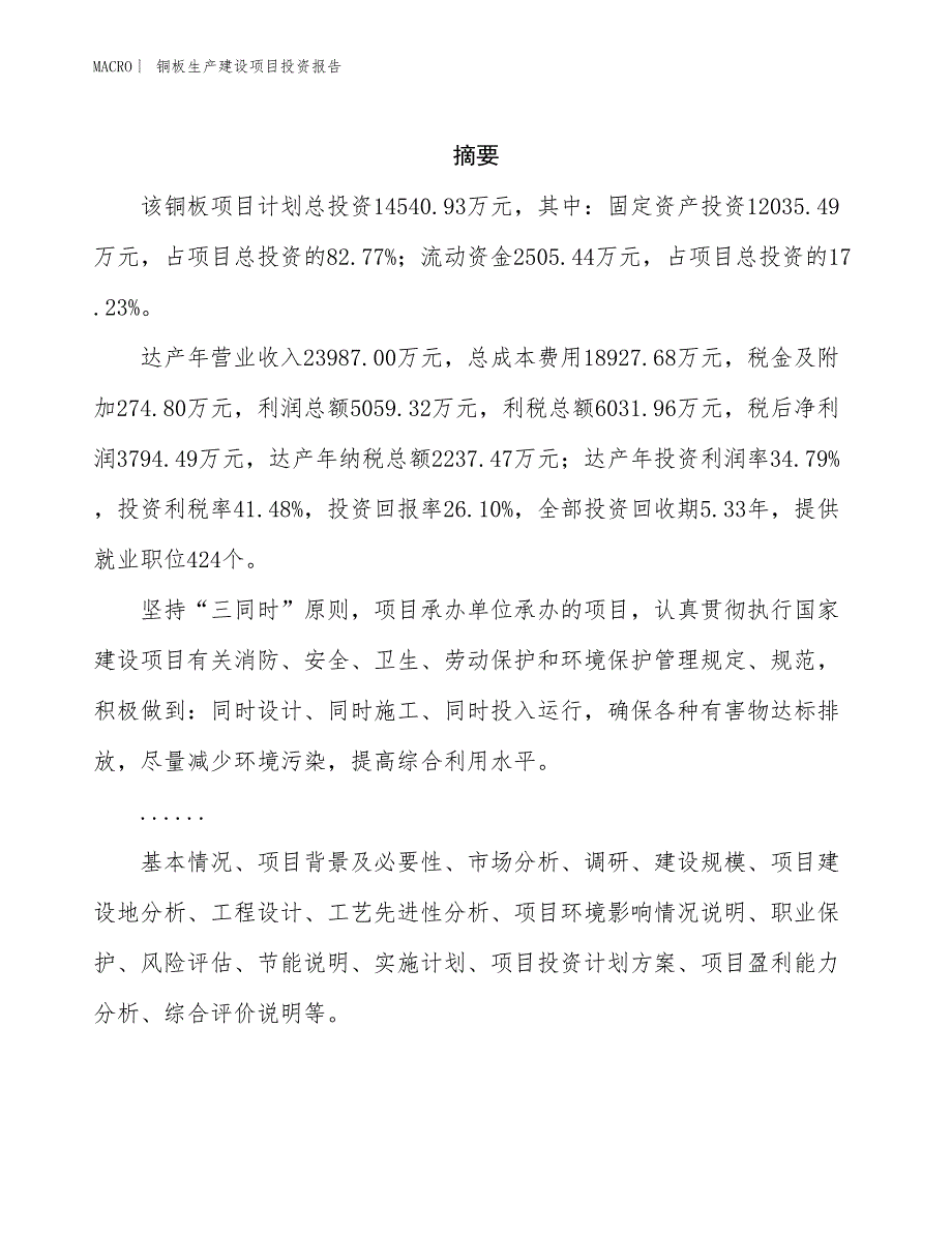 铜板生产建设项目投资报告_第2页