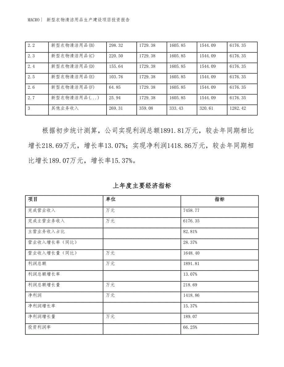 新型衣物清洁用品生产建设项目投资报告_第5页