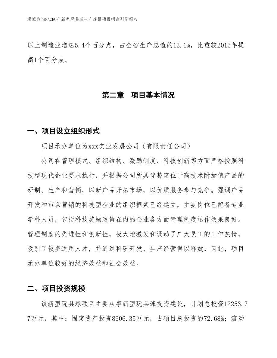 新型玩具球生产建设项目招商引资报告(总投资12253.77万元)_第5页