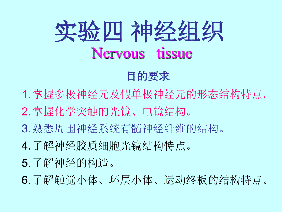 实验-4-神经组织_第1页