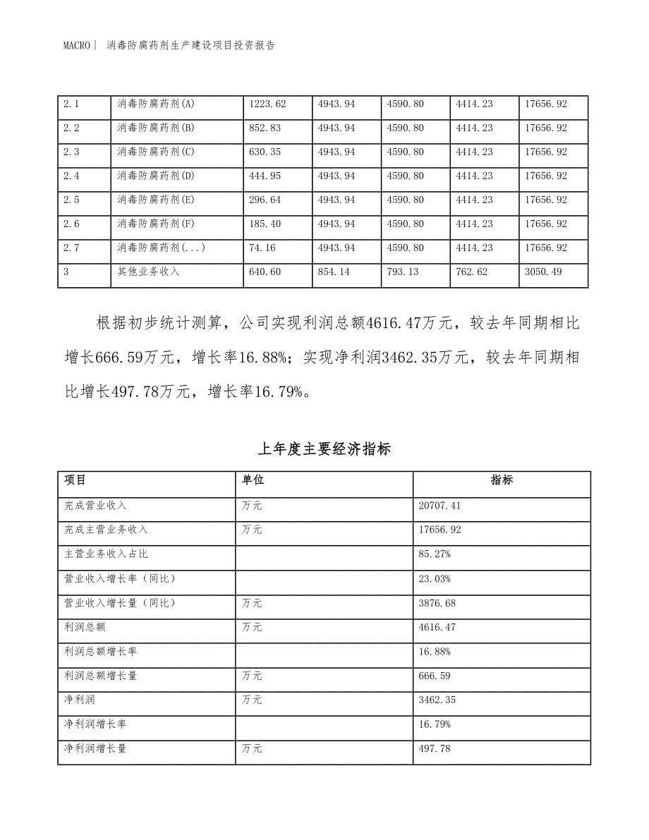 消毒防腐药剂生产建设项目投资报告_第5页