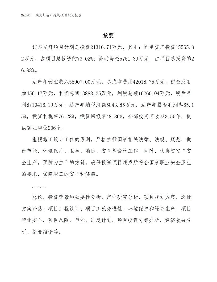 柔光灯生产建设项目投资报告_第2页