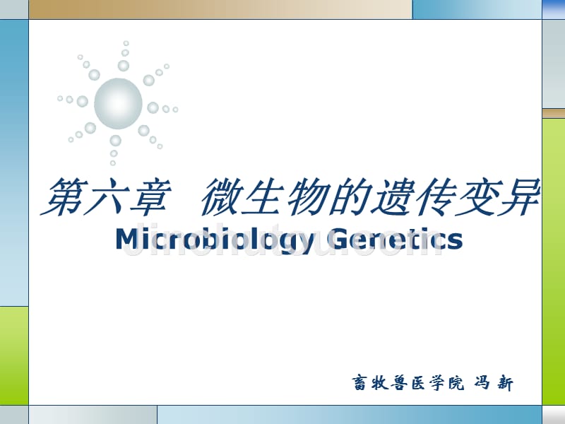 畜牧微生物学-第六章-微生物的遗传与变异_第1页