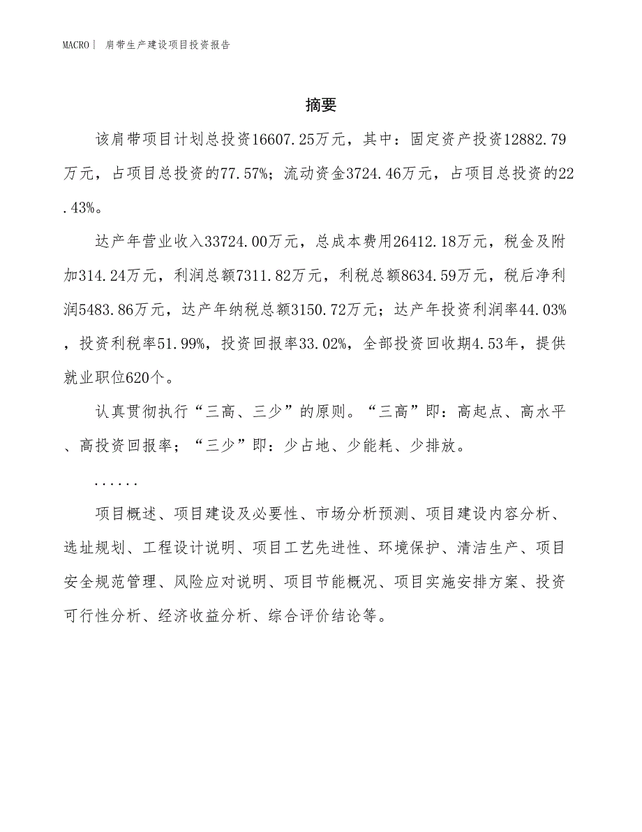 肩带生产建设项目投资报告_第2页