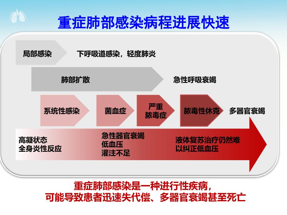 重症呼吸道感染经验性诊疗的始与终_第3页