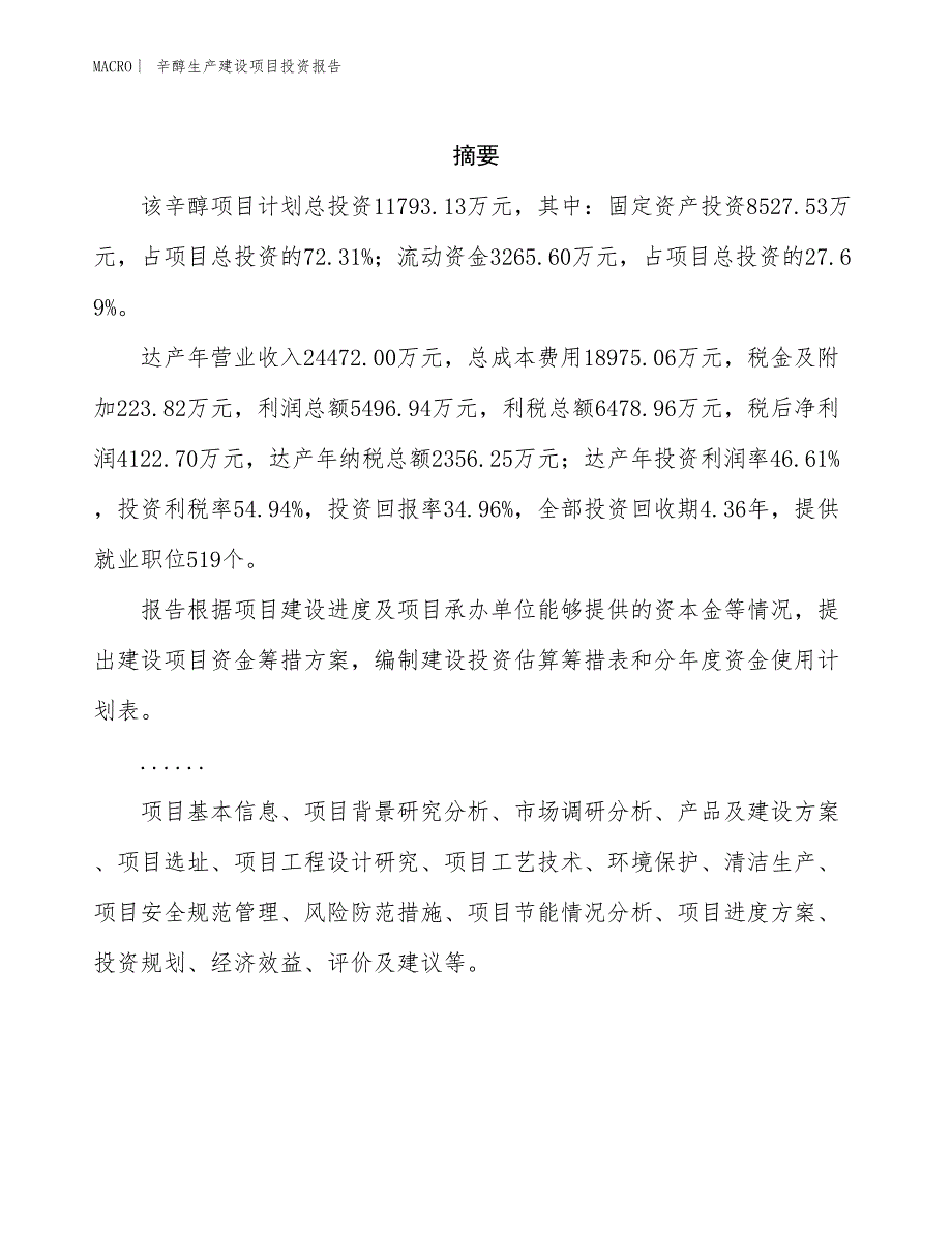 辛醇生产建设项目投资报告_第2页