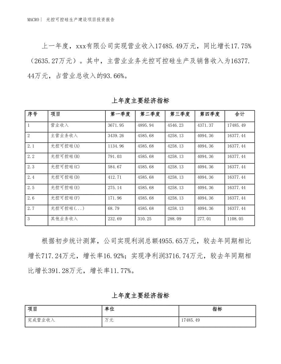 光控可控硅生产建设项目投资报告_第5页