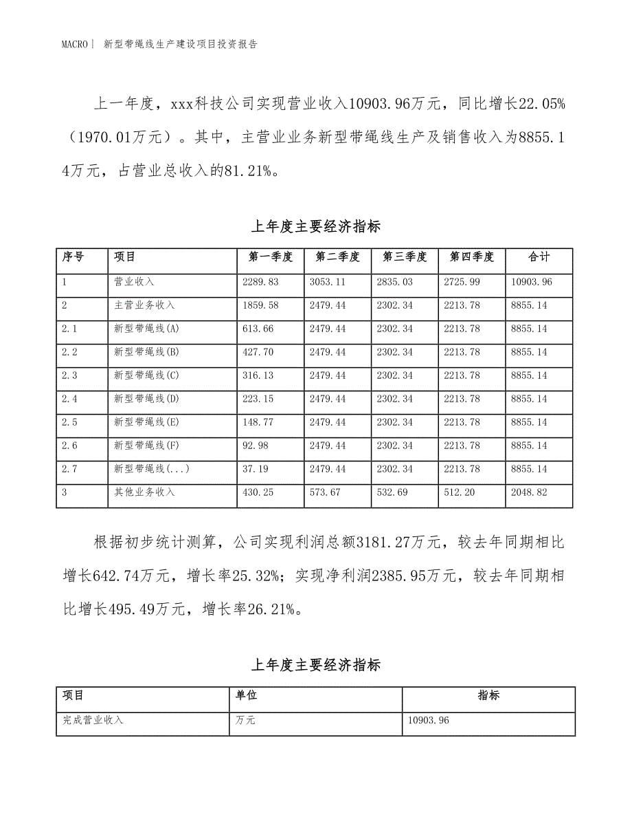 新型带绳线生产建设项目投资报告_第5页