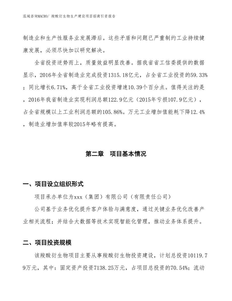 羧酸衍生物生产建设项目招商引资报告(总投资10119.79万元)_第5页