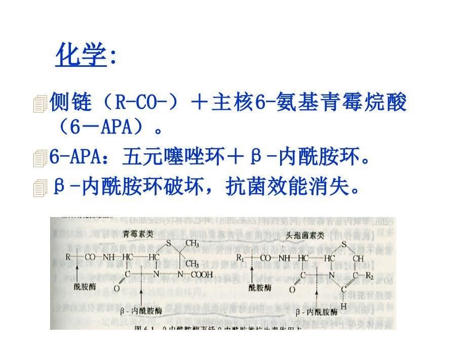 青霉素头孢内酰胺-705418_第5页