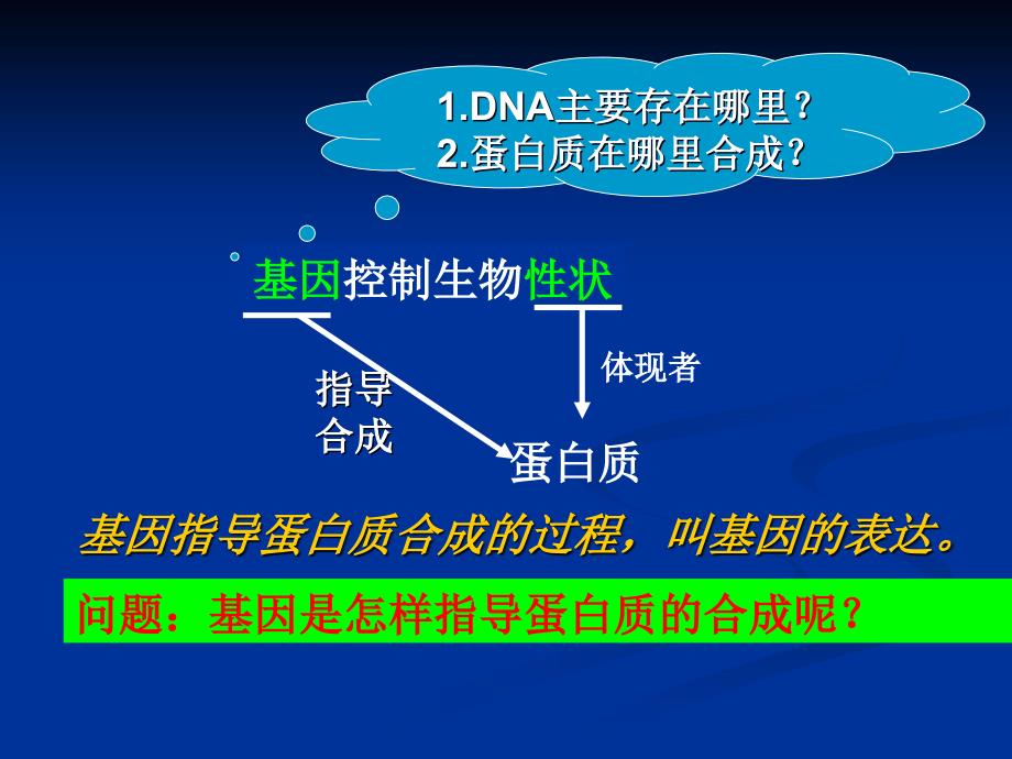 高三生物复习必修二第四章第一节《基因指导蛋白质的合成》ppt课件_第4页