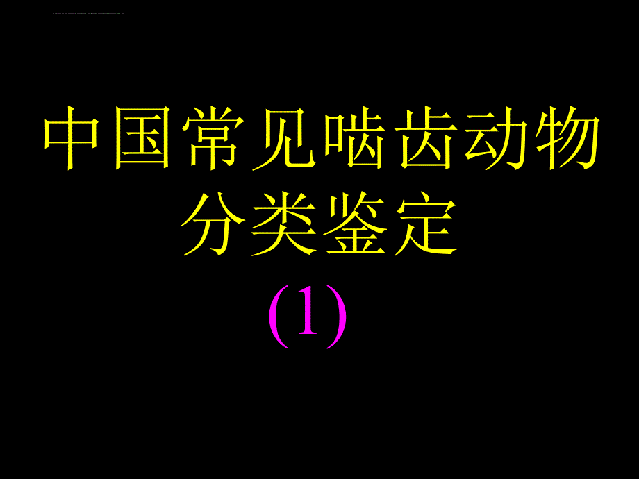中国常见啮齿动物分类鉴定(1)_第1页