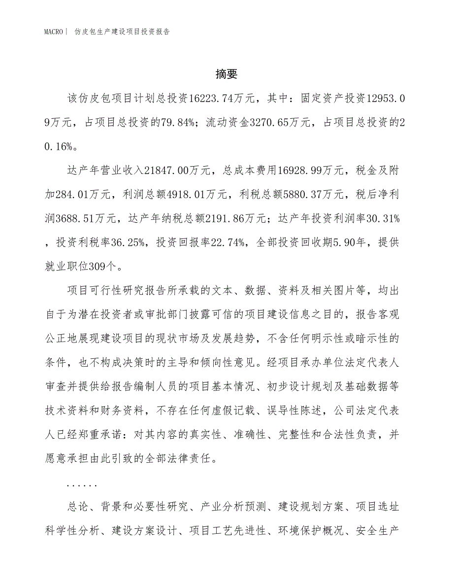 仿皮包生产建设项目投资报告_第2页