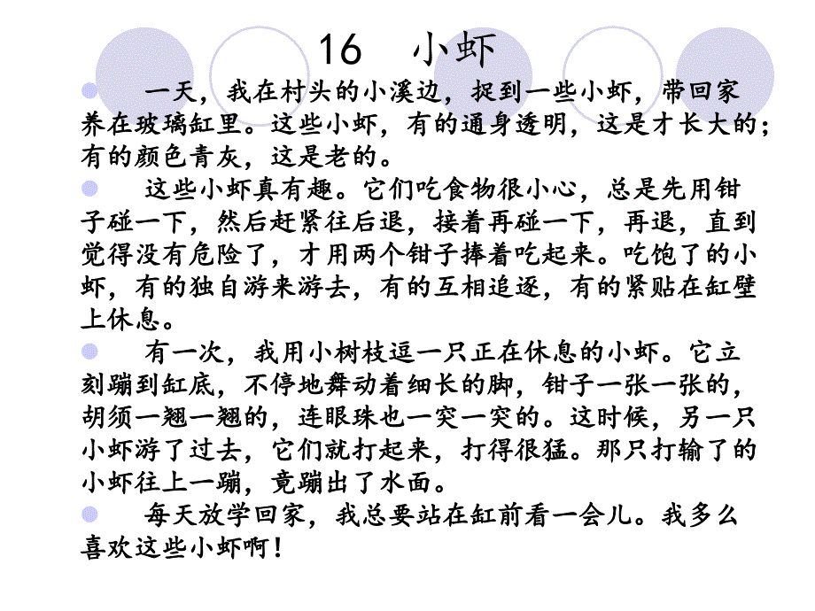 16 小虾课件_第4页