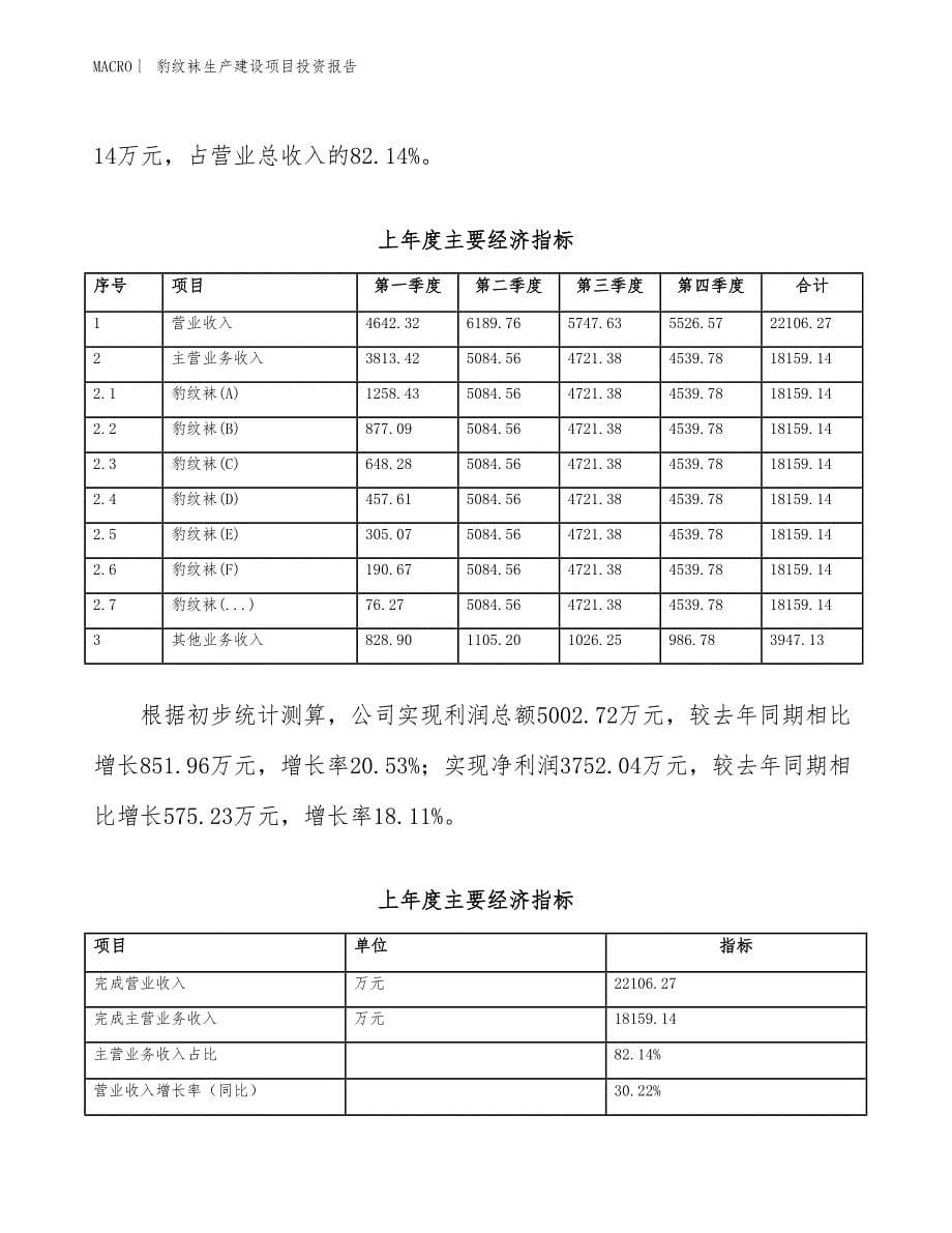 豹纹袜生产建设项目投资报告_第5页