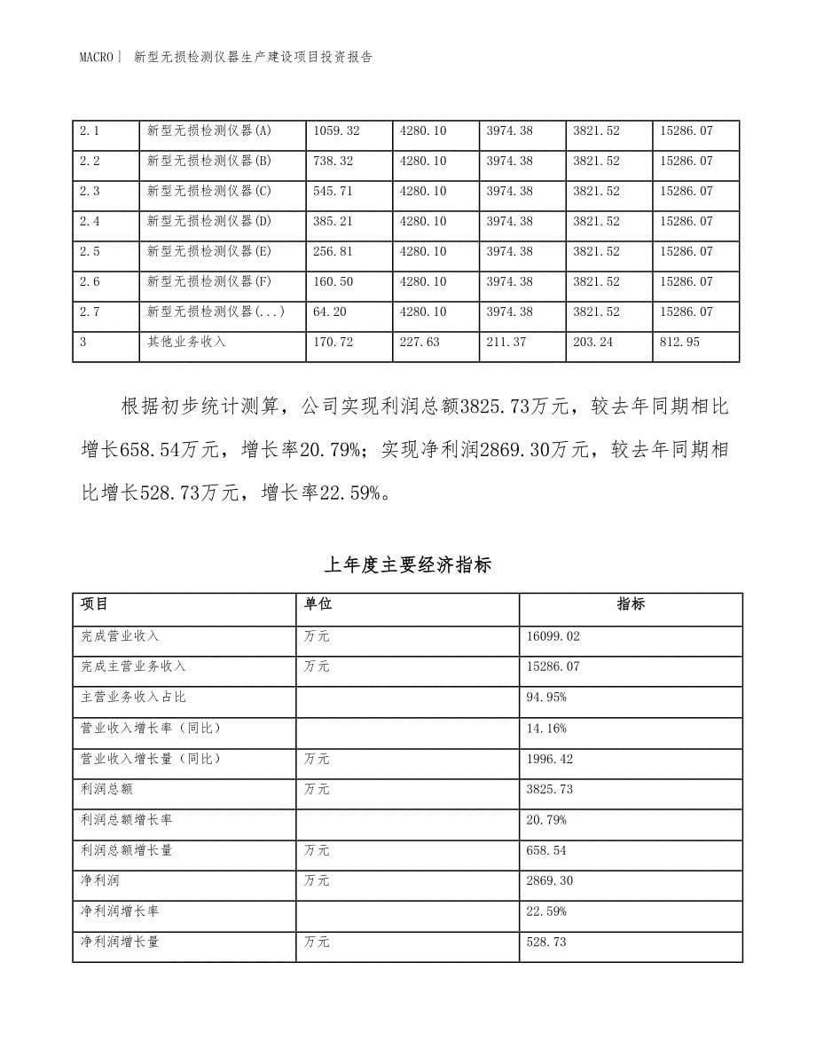 新型无损检测仪器生产建设项目投资报告_第5页