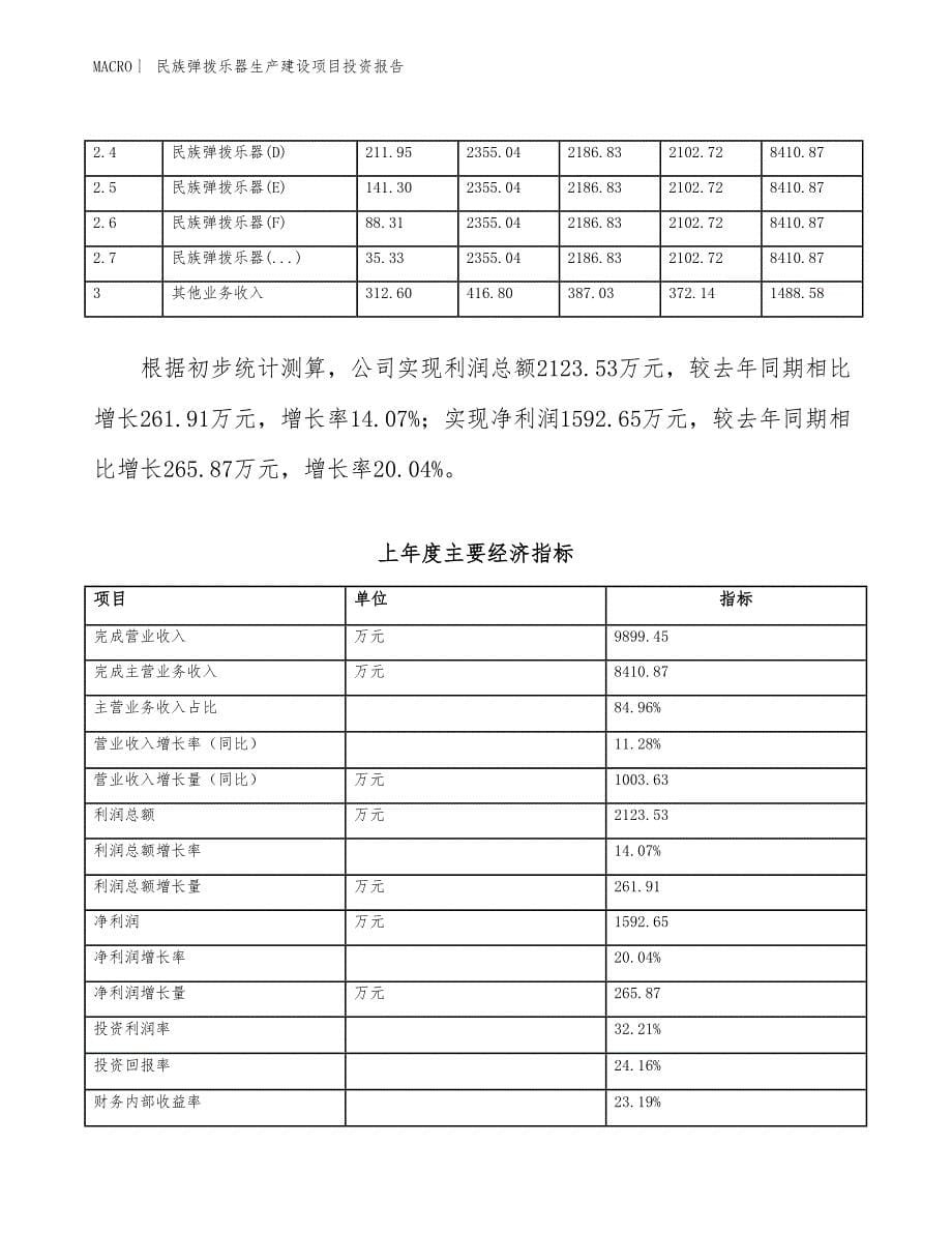 民族弹拨乐器生产建设项目投资报告_第5页