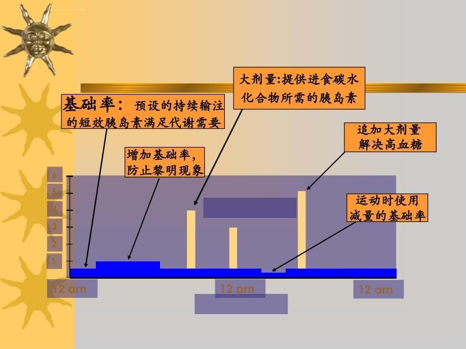 胰岛素泵-胰岛素调节方案培训_第5页