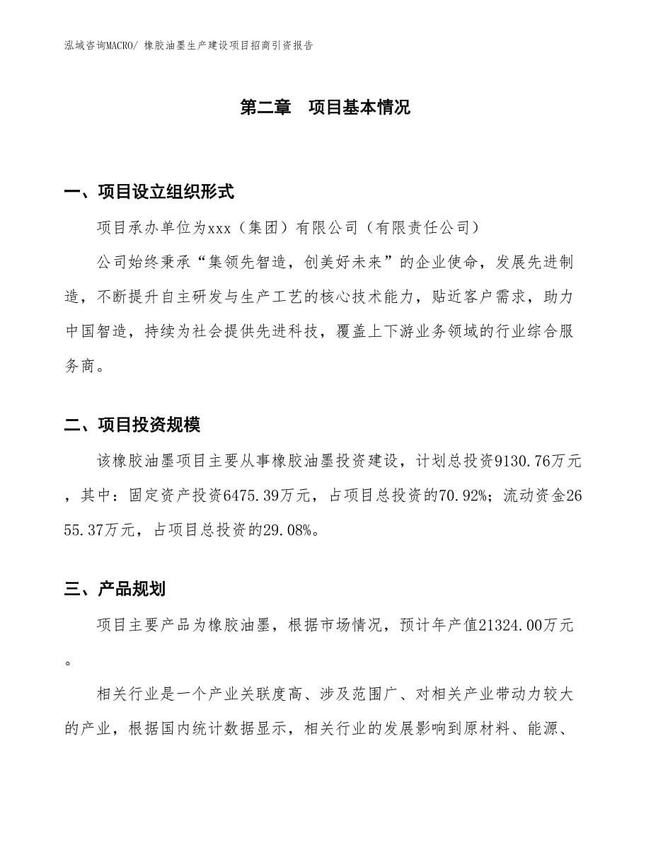 橡胶油墨生产建设项目招商引资报告(总投资9130.76万元)_第5页