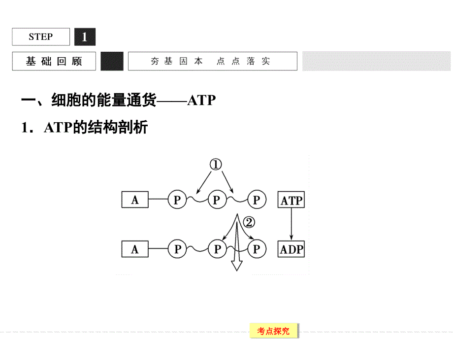 高考生物大一轮复习精讲课件：必修1第3单元光合作用与细胞呼吸-9atp与细胞呼吸的概念、类型及过程模板_第3页