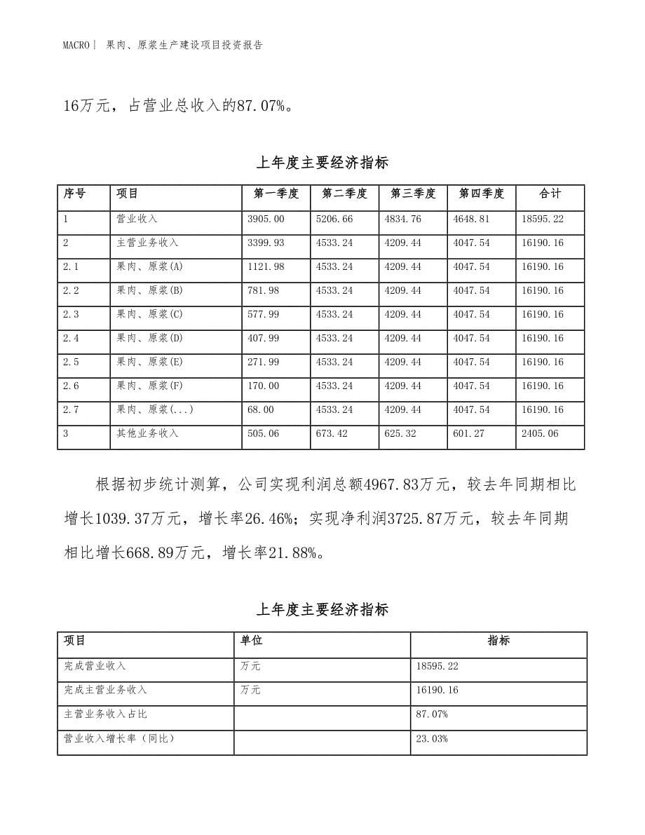 果肉、原浆生产建设项目投资报告_第5页