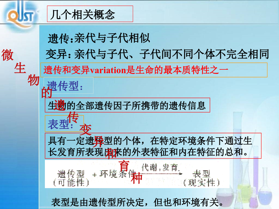 微生物第6章微生物的遗传变异和育种课件_第2页