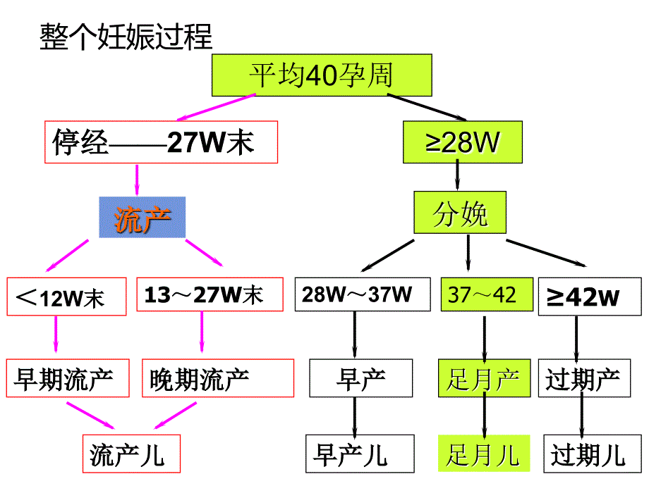 分娩期操作要点解析课件_第3页