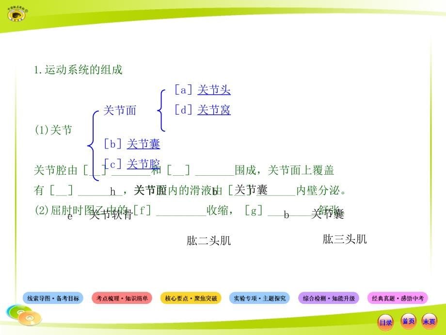 动物的运动和行为以及动物在生物圈中的作用复习【课件】_第5页