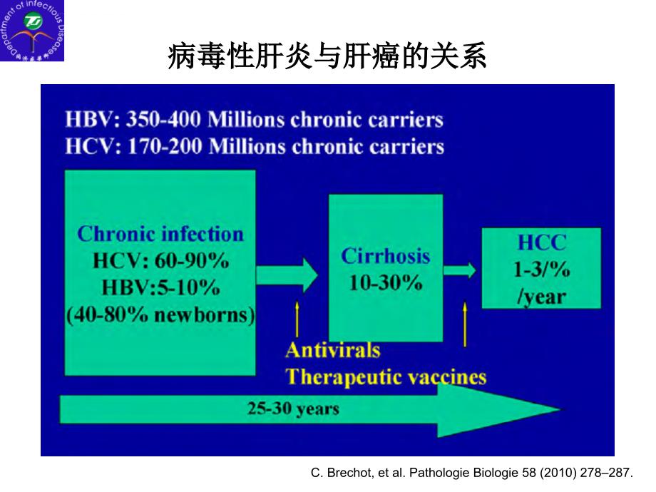 抗病毒治疗与肝癌课件_第4页