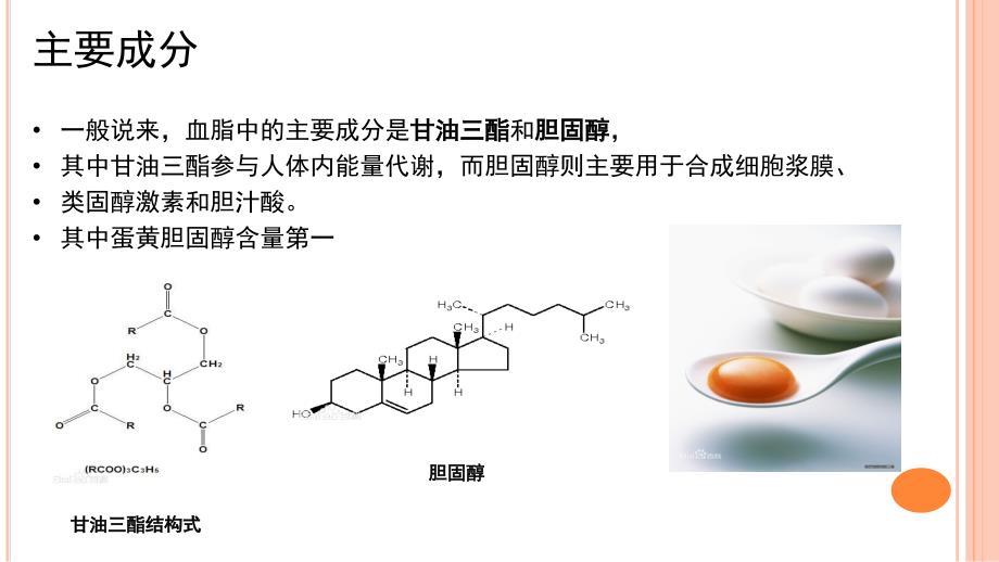 人体血脂与健康(1)课件_第3页