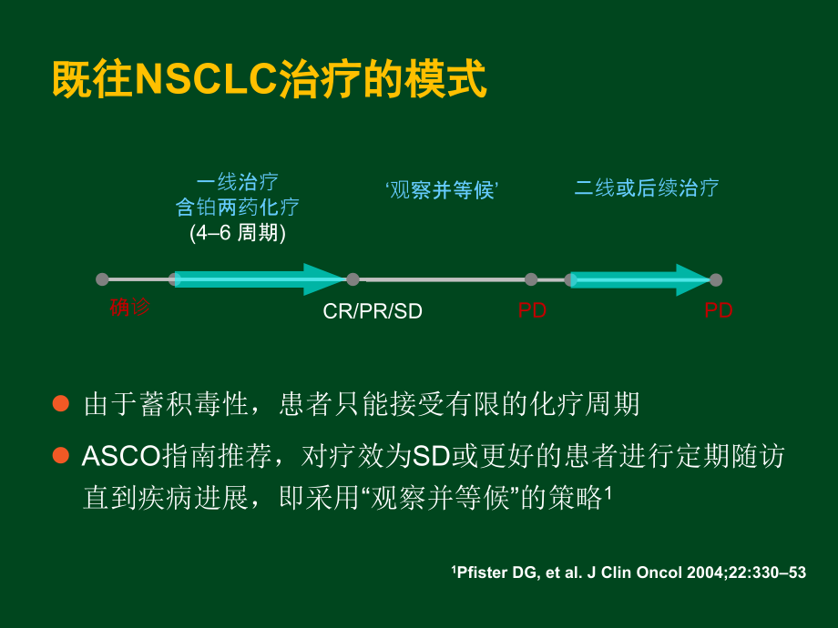 nsclc维持治疗的研究进展-省肺癌会议课件_第2页