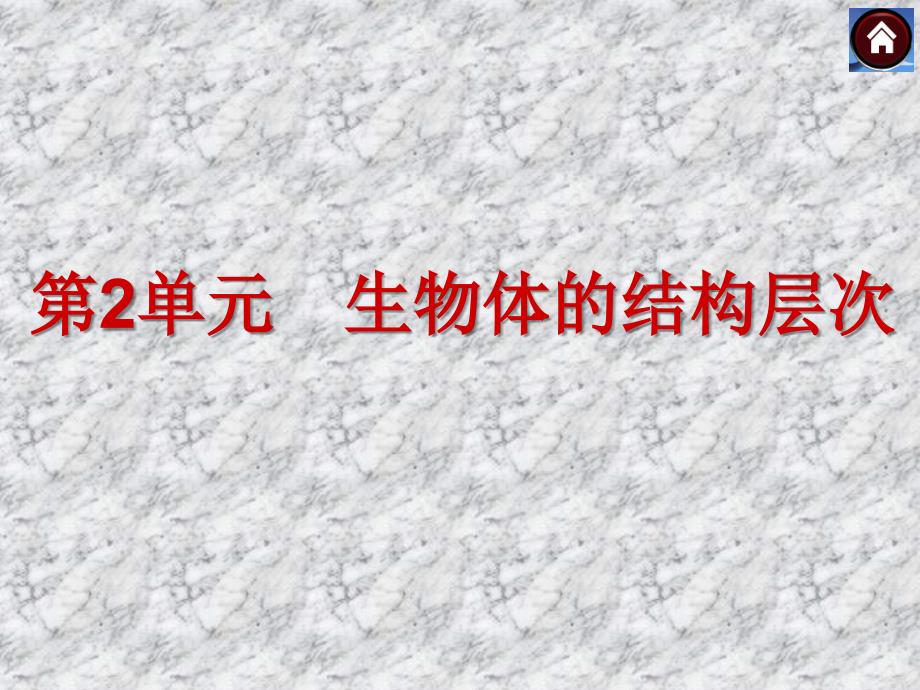 2014中考生物复习方案：第2单元-生物体的结构层次(全国通用-31张ppt)课件_第3页