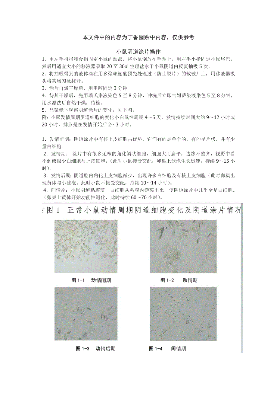 小鼠阴道涂片操作和图片_第1页