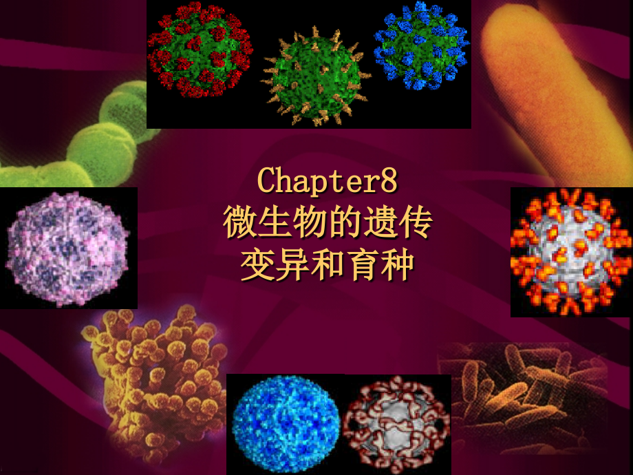 chapter8微生物的遗传变异和育种课件_第1页