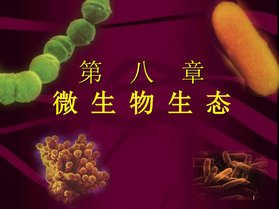 微生物生态（li）课件_第1页