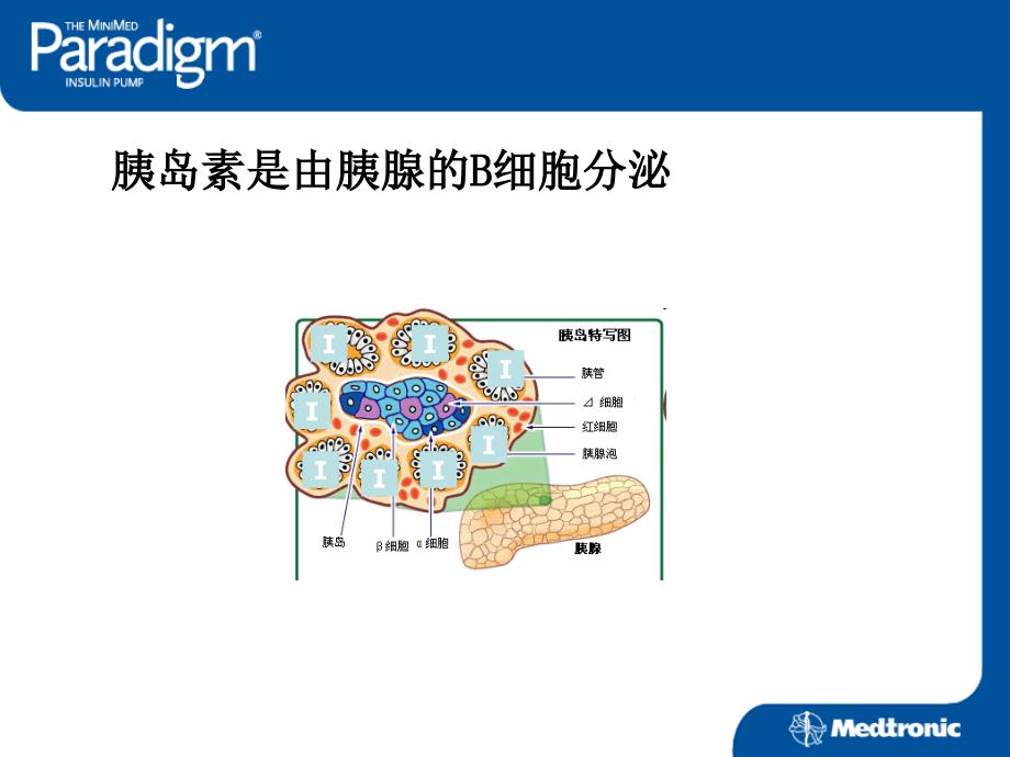 胰岛素泵患者教育_第3页