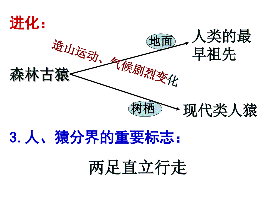 人类的起源与进化a课件_第2页