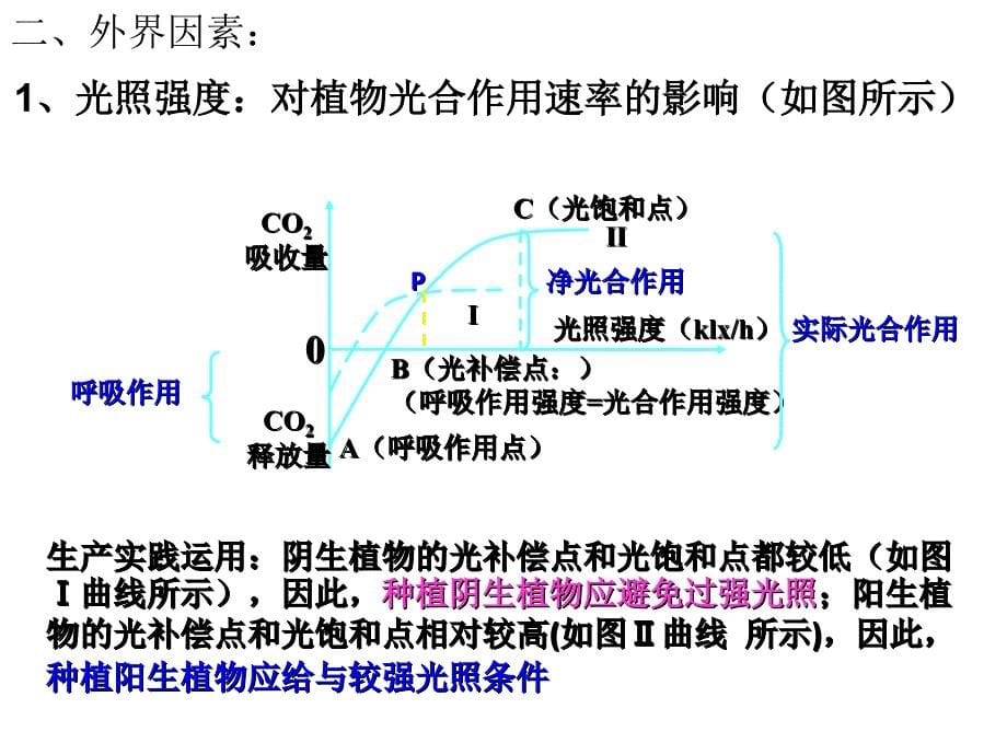 影响光合作用速率的环境因素课件_第5页