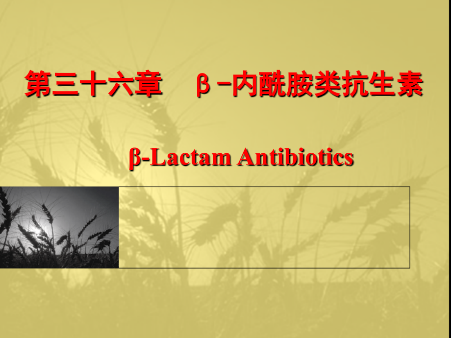 内酰胺类抗生素_6课件_第1页