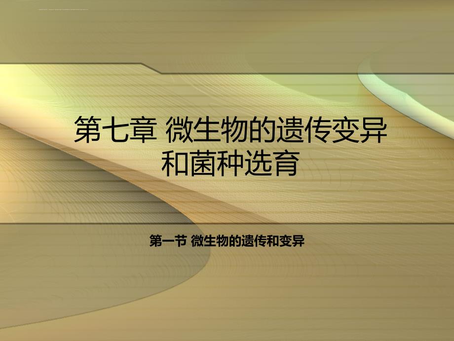 微生物的遗传变异和菌种选育课件_第2页