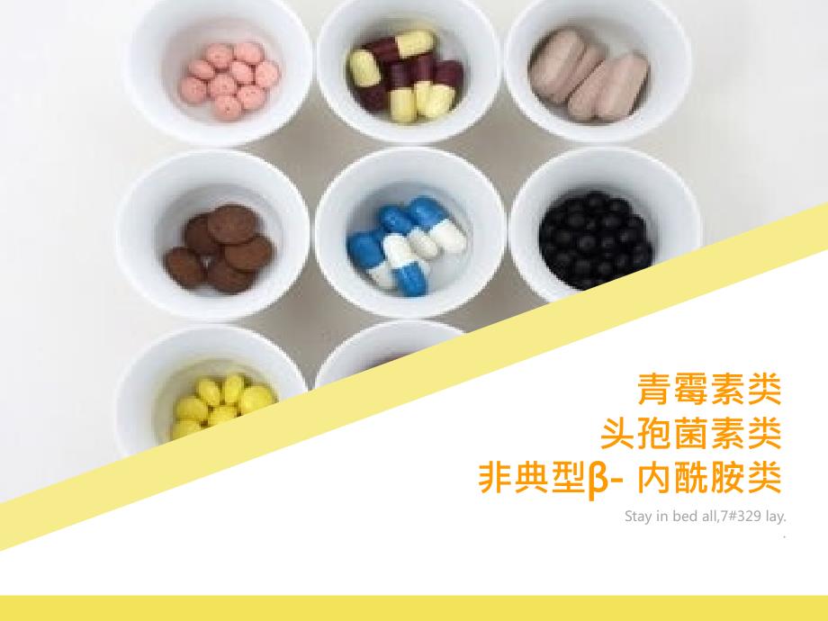 b内酰胺类抗生素课件_第3页