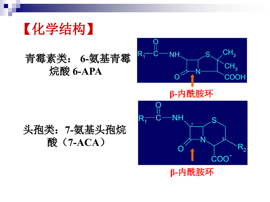 b内酰胺类抗生素 (1)课件_第2页