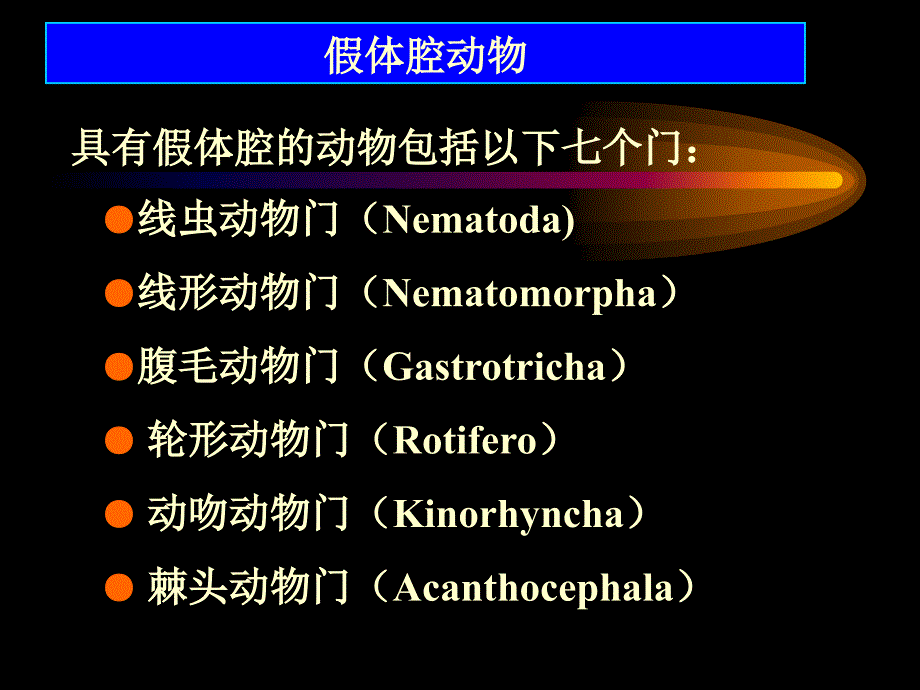 冀教版七年级生物上册《第四章-第三节-线形动物和环节动物》课件4_第2页