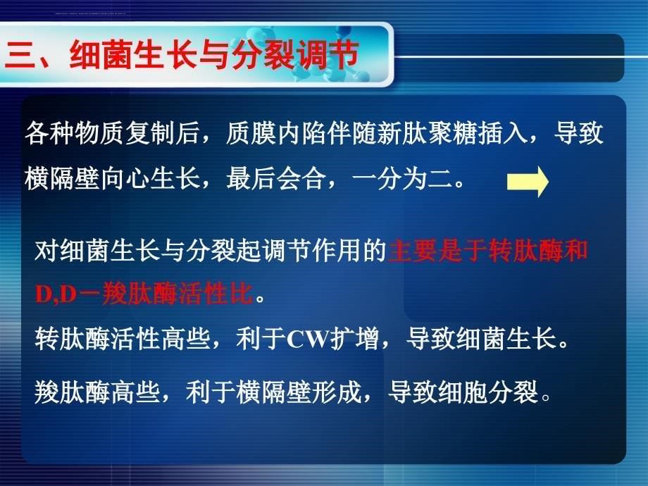 微生物的生长繁殖及其控制课件_第5页