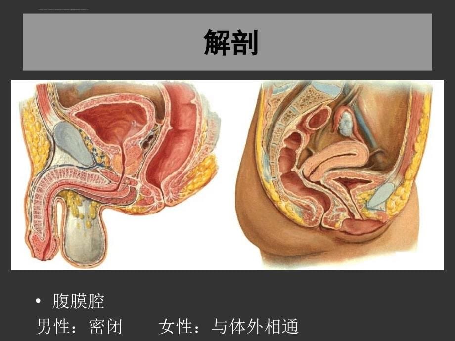 上海交大外科幻灯片_第5页