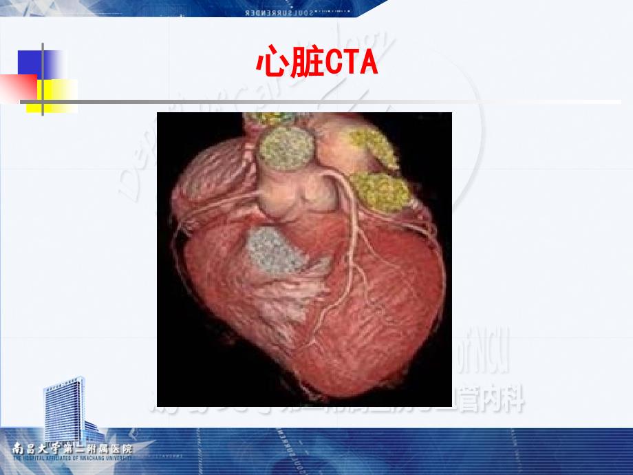 心脏解剖生理课件_第4页