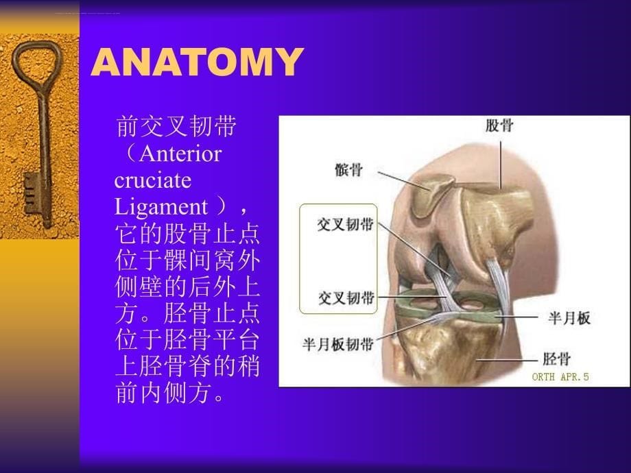 膝关节前交叉韧带损伤课件_第5页