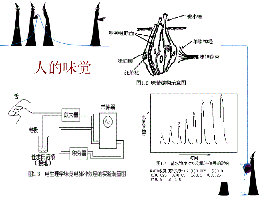 化学传感器.课件_第4页