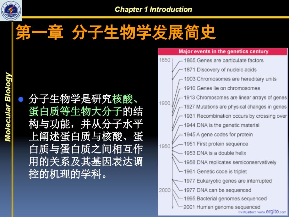 分子生物学发展简史课件_第4页