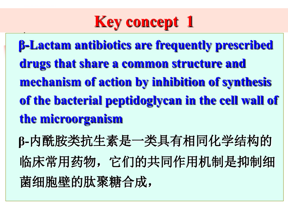 内酰胺类抗生素（黄仁彬）课件_第2页